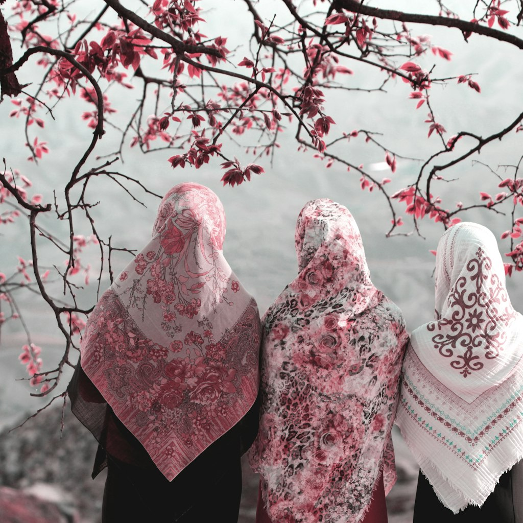 يمتد تأكيد القرآن على النساء إلى ما هو أبعد من المجال الاجتماعي إلى المجالات القانونية والروحية