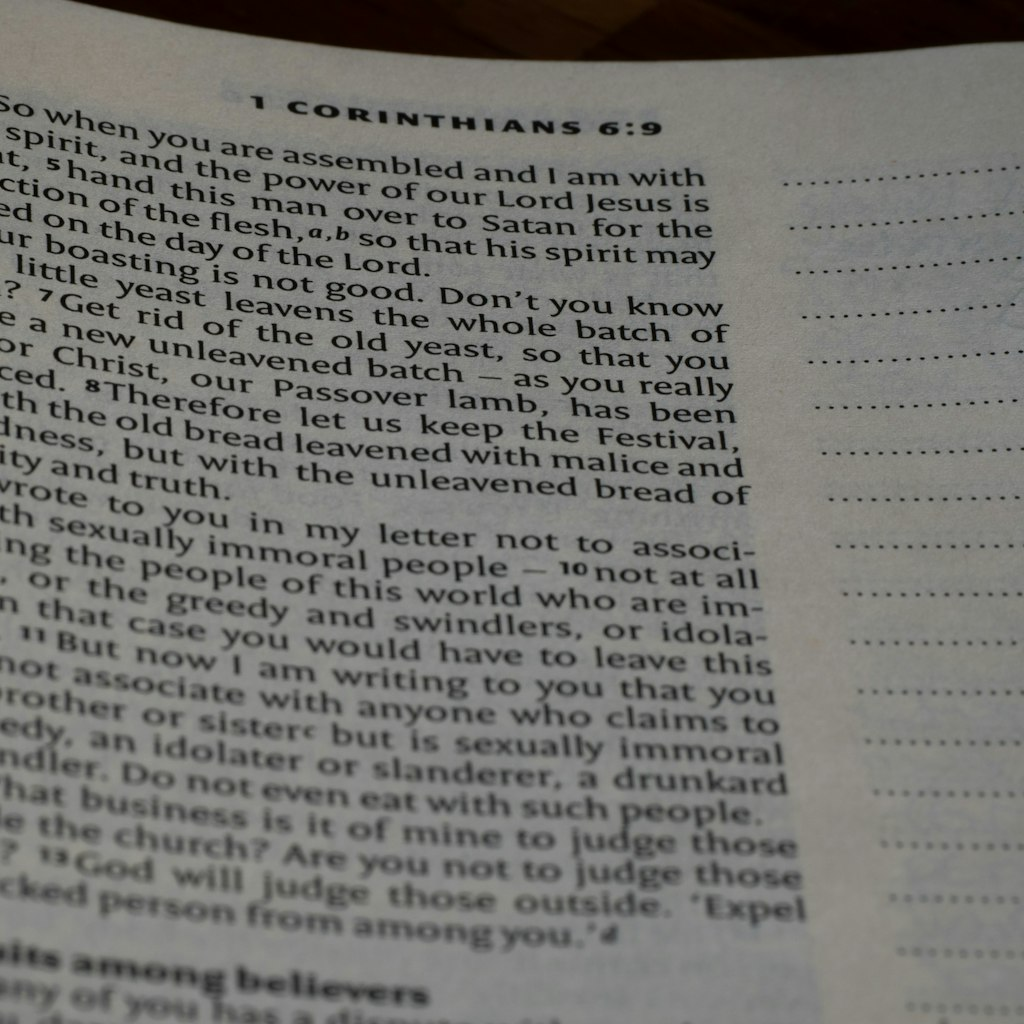 When the verses containing n-s-b and its cognates are examined together, a coherent system emerges.