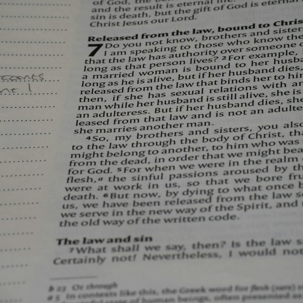 When these two lines of evidence are combined — the textual references to writing and the physical c