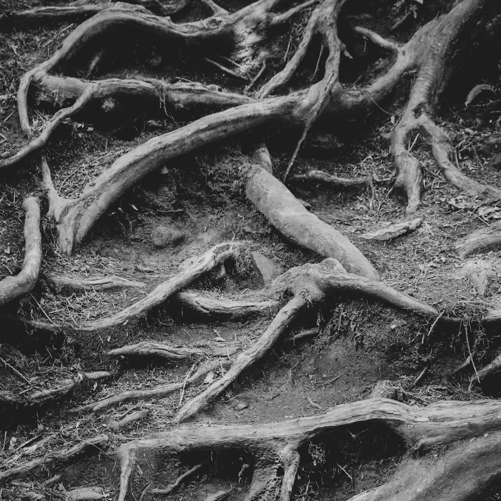 This method, tracing roots, is one way to investigate the Qur'an's internal consistency. If the text