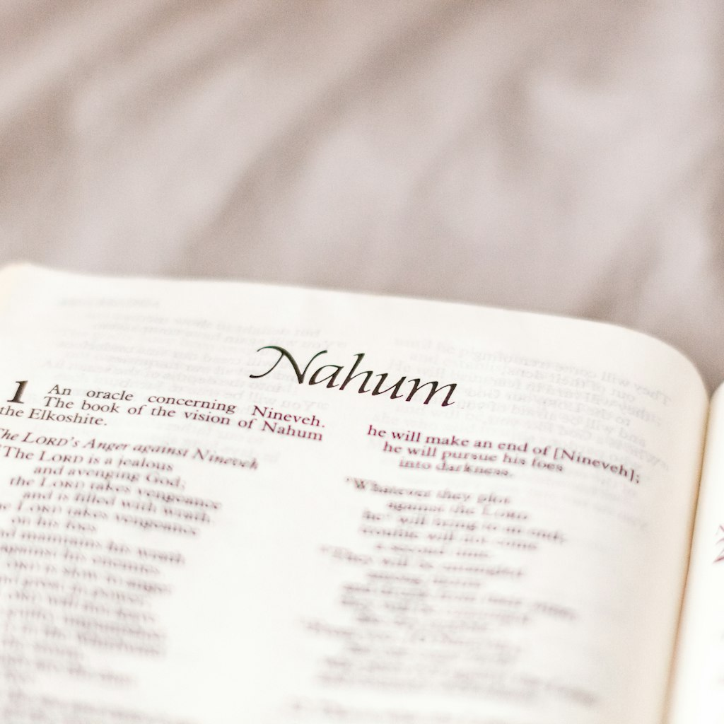 Consider the Qur'anic phrase "nusbatun min nûrin" in Surah An-Nur (24:35), where a similitude is str